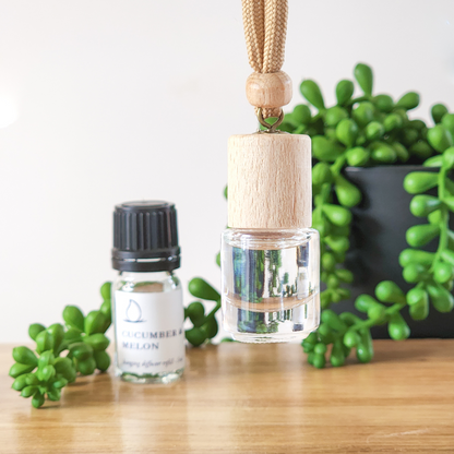 Cucumber & Melon Hanging Diffuser